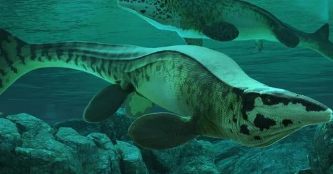Gigantesque et agressif : ce "T. rex" des mers était un terrifiant prédateur