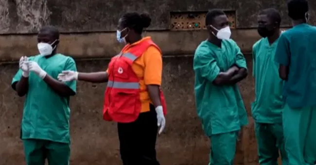 Examining past Ebola outbreaks and efforts to stop current outbreak