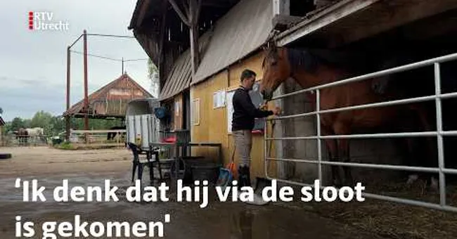 RTV Utrecht