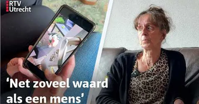 Populaire buurt-eend Musky doodgereden | RTV Utrecht