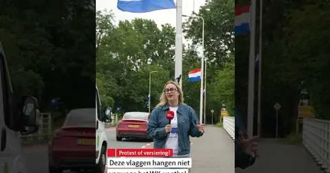 👀🇳🇱 Waarom hangen deze vlaggen hier? #shorts