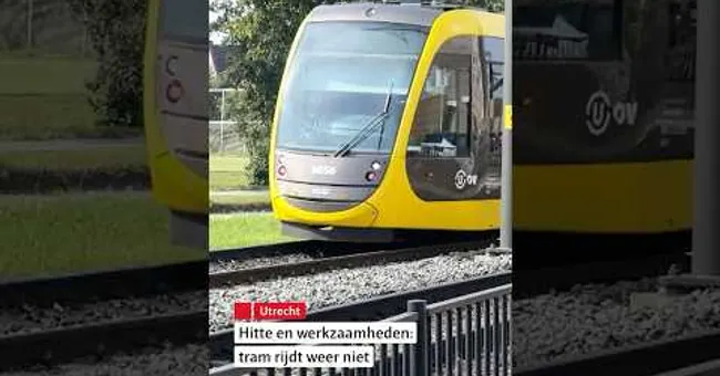 😬 Weer geen trams.. #shorts