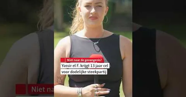 🤔 Man krijgt celstraf, maar hoeft niet terug naar de gevangenis #shorts