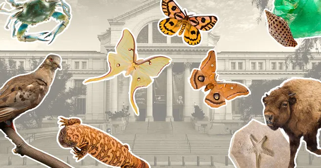 The natural history of every U.S. state is on display at a new D.C. exhibit